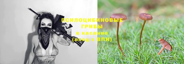 марки lsd Алексеевка