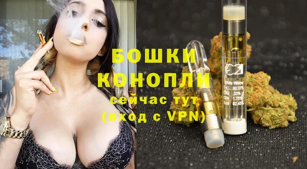 твердый Алзамай