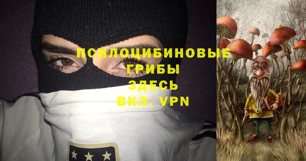 твердый Алзамай